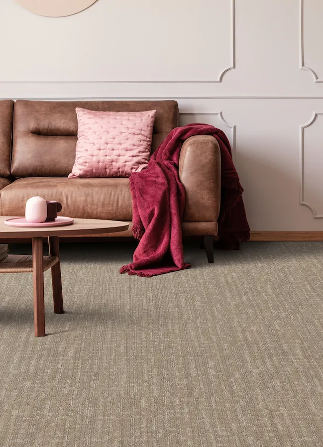 textured brown carpets in a living room 