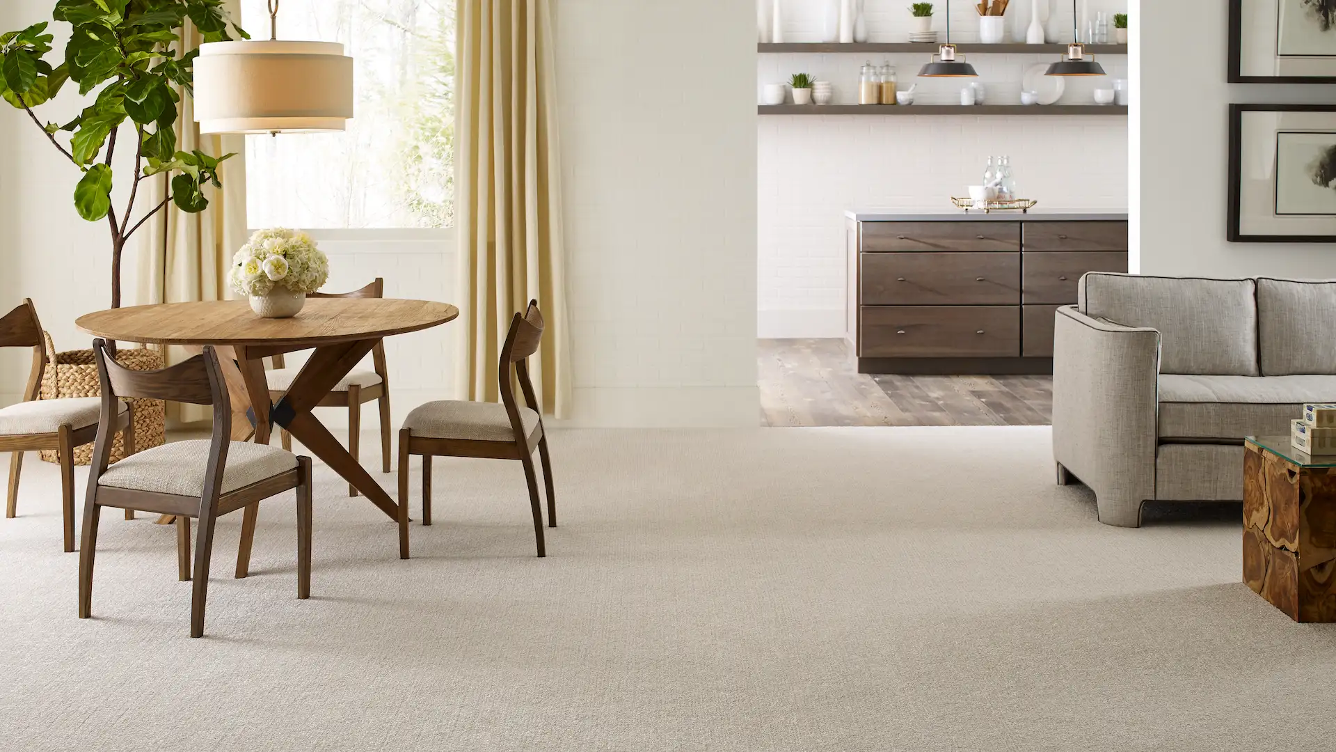 carpet in living room